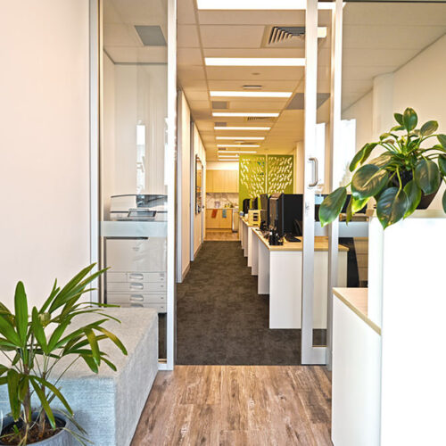 Biophilic Design Office Commercial Fitout