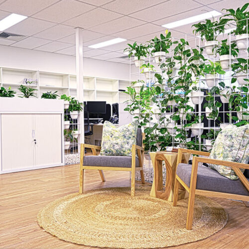 Office Fitout Sunshine Coast - Planter Boxes