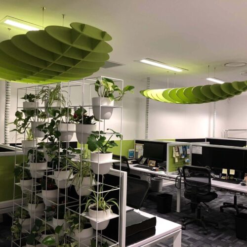 Sunshine Coast Office Fitout Biophilic Design