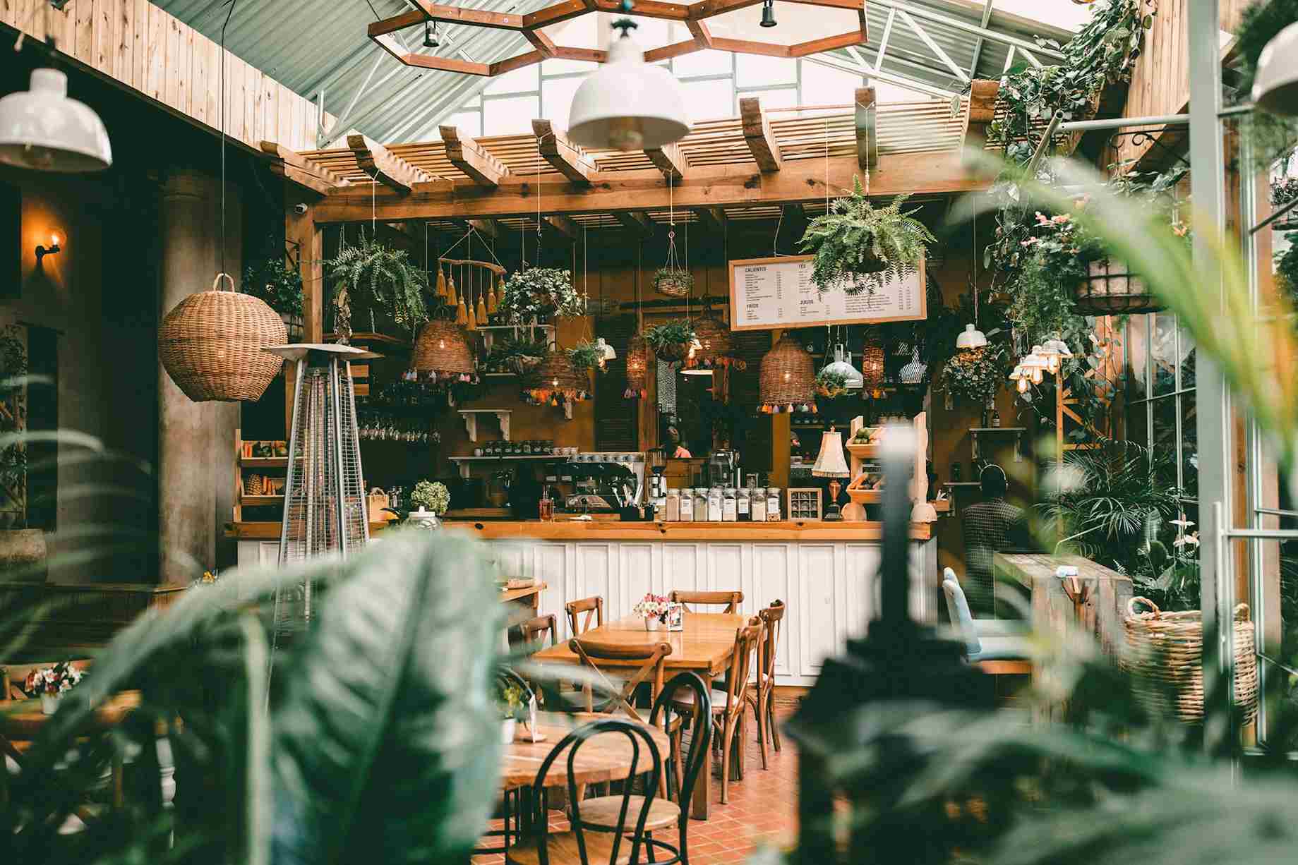 Welcoming café interior featuring timber furniture, hanging greenery, woven pendant lights and an open service counter.